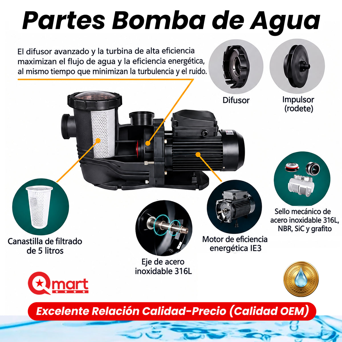Bomba de Agua BDP de 1hp, 2hp, 3hp para Piscinas. Caudal Alto Volumen. Potente. Motor Alta Eficiencia IE3.