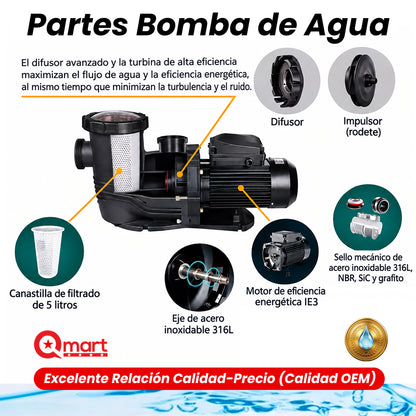 Bomba de Agua BDP de 1hp, 2hp, 3hp para Piscinas. Caudal Alto Volumen. Potente. Motor Alta Eficiencia IE3.